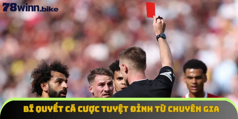 Bí quyết cá cược tuyệt đỉnh từ chuyên gia 