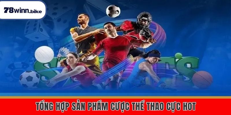 Khám phá top sản phẩm cực hot tại chuyên mục
